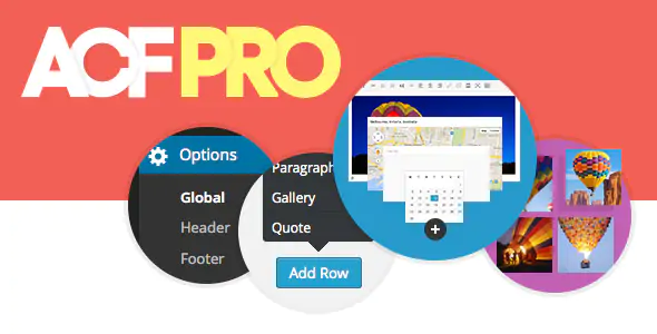 Advanced Custom Fields (ACF) Pro Plugin 6.6.0